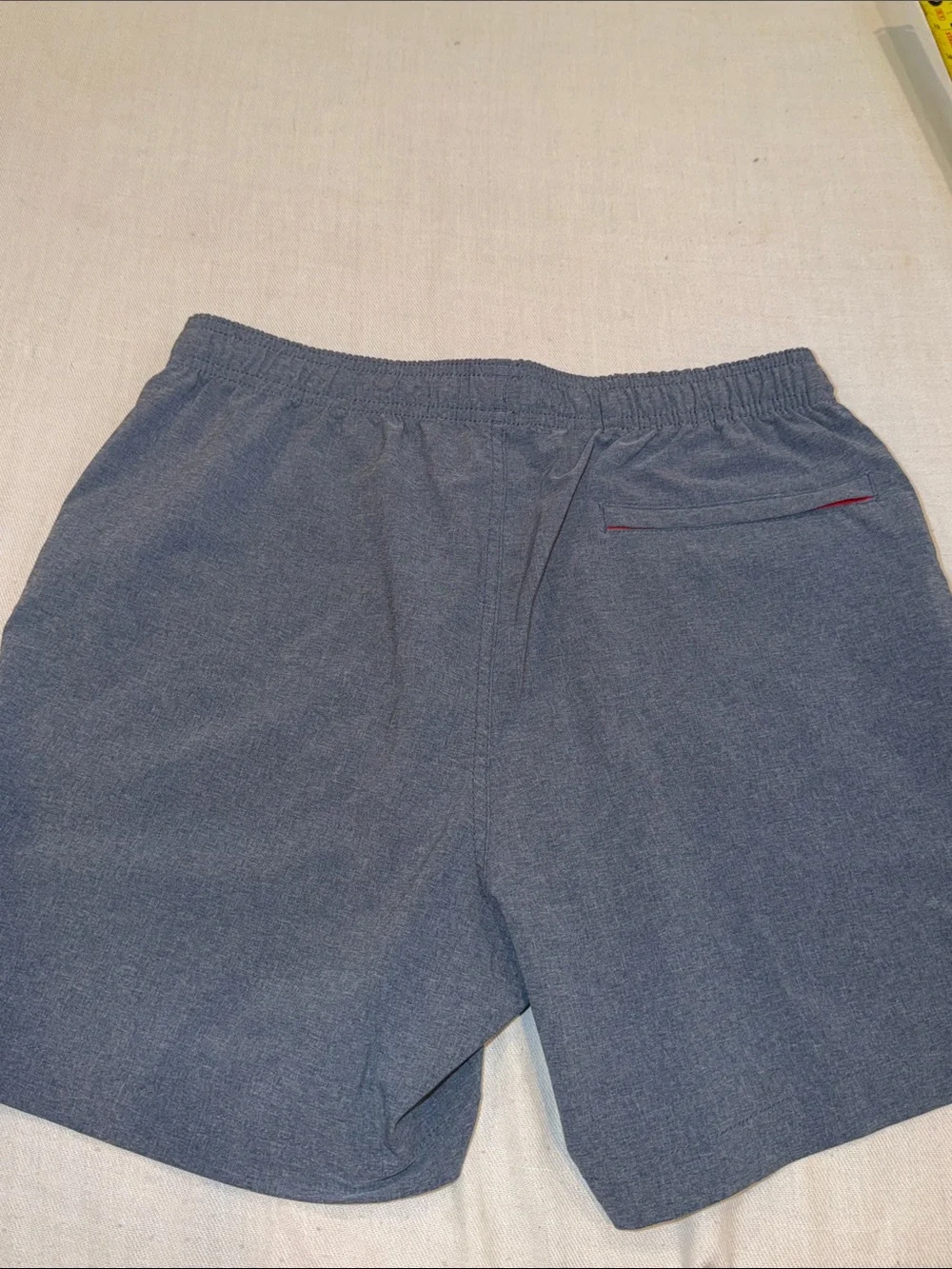 1108101 Chubbies Blue shirts SZ M Inseam 5.5 EUC